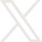 X Icon